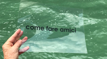 ppll-amici-venice-9