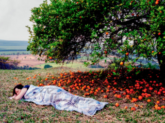 Painel-Expositivo-do-DAP-IA-sylvia-furegatti