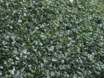 WhatsApp Image 2021-06-22 at 01.33.24