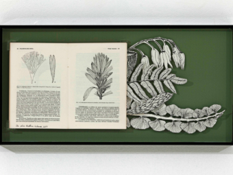 sylvia-furegatti-livro-objeto-cultivos_urbanos