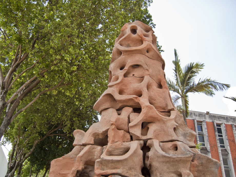 Jardim de Pássaros_17-10-19_8