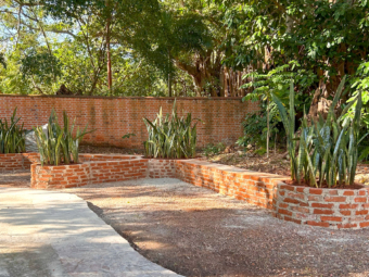 sylvia-furegatti-isla-de-plantas-1